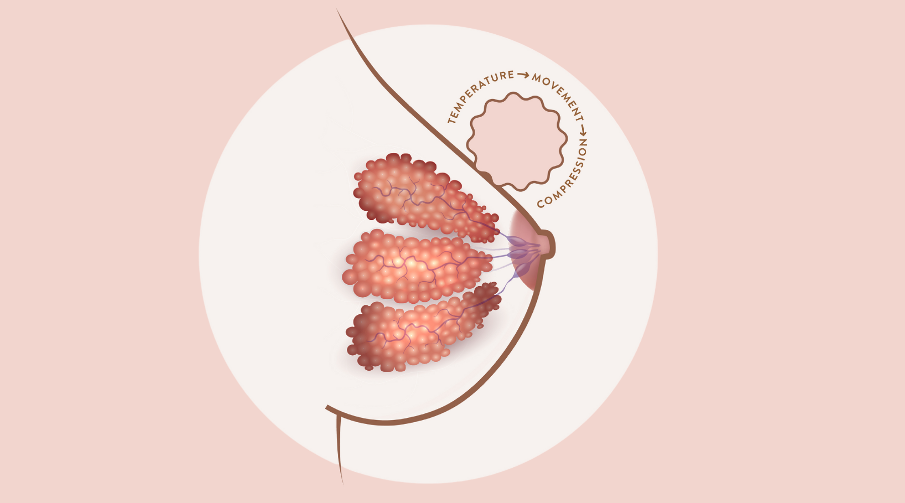The role of breast massage in low milk supply
